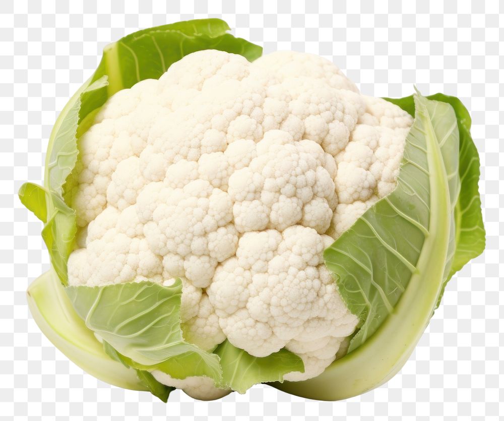 PNG Fresh cauliflower vegetable plant white.