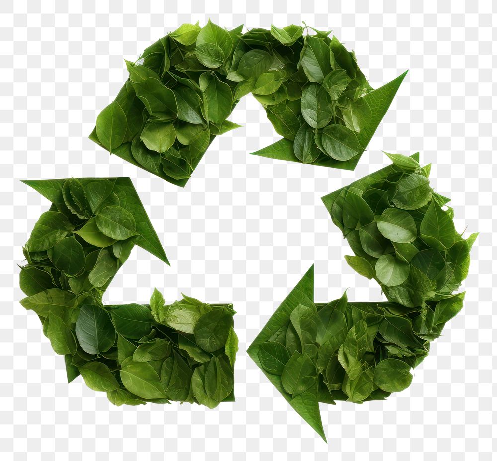 PNG Recycle icon green plant leaf.