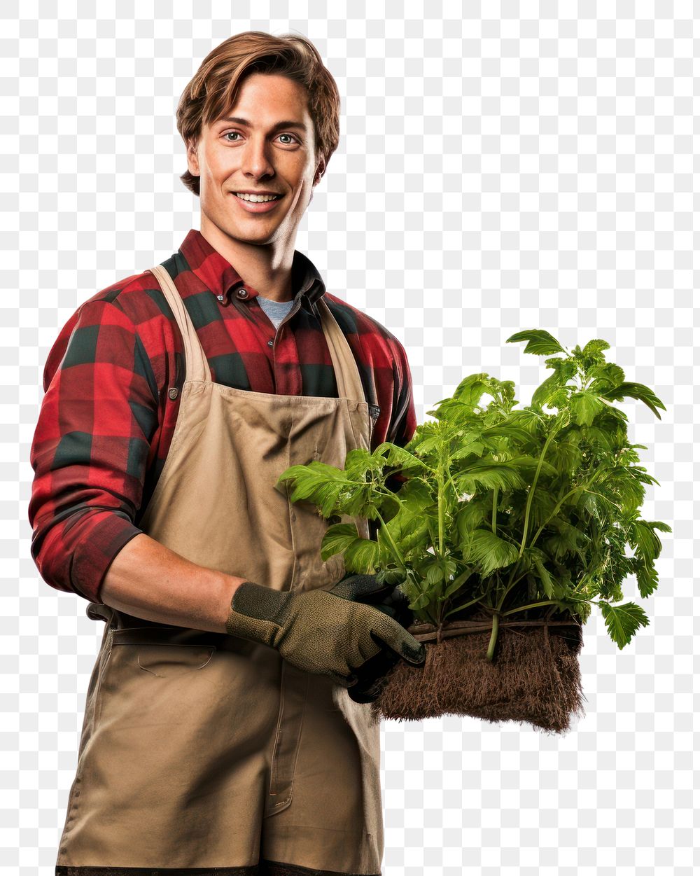 PNG  Gardener gardening adult plant. AI generated Image by rawpixel.