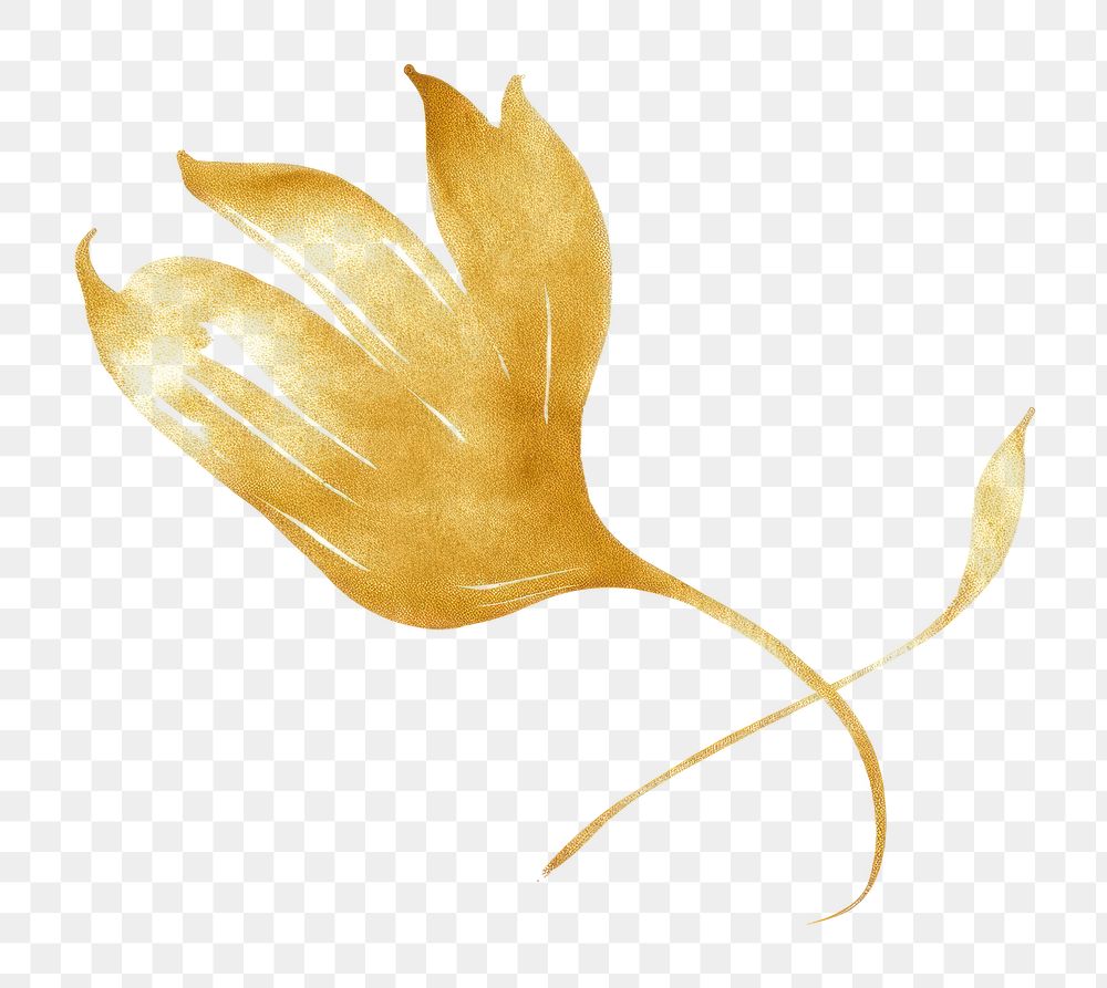 PNG  Tulip plant gold leaf. AI generated Image by rawpixel.