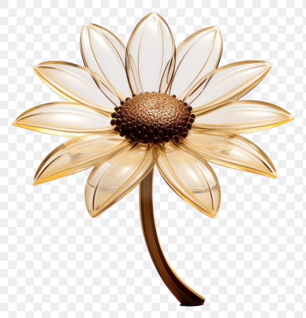 PNG  Transparent glass mini sunflower plant daisy white.