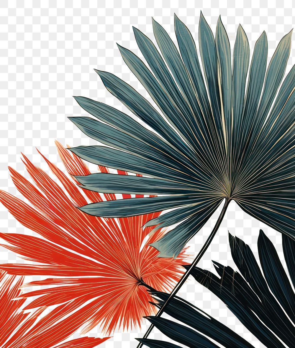 PNG  An isolated palm leaf art backgrounds outdoors. AI generated Image by rawpixel.
