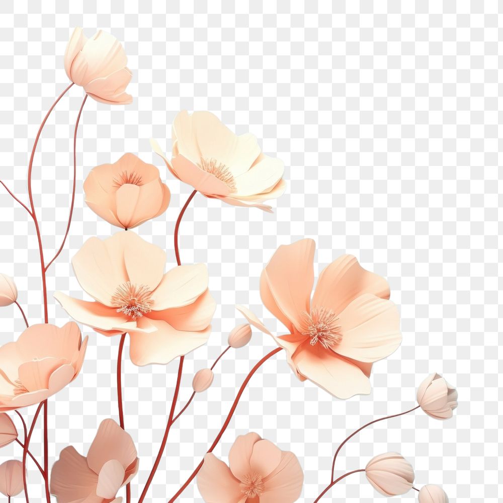 PNG Flowers in aesthetic nature background petal plant inflorescence. AI generated Image by rawpixel.