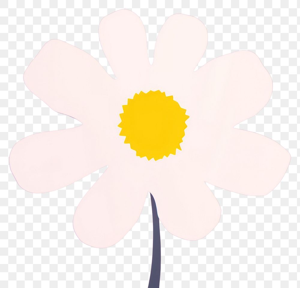 PNG Blossom flower petal daisy.