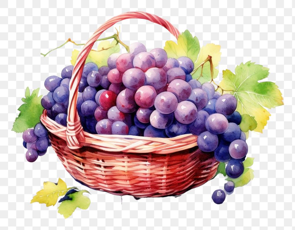 PNG  Fruit basket grapes plant food.