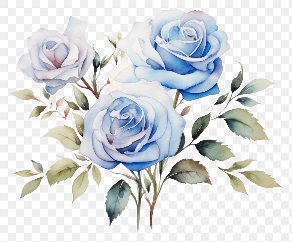 PNG Blue rose bouquet painting pattern drawing. AI generated Image by rawpixel.