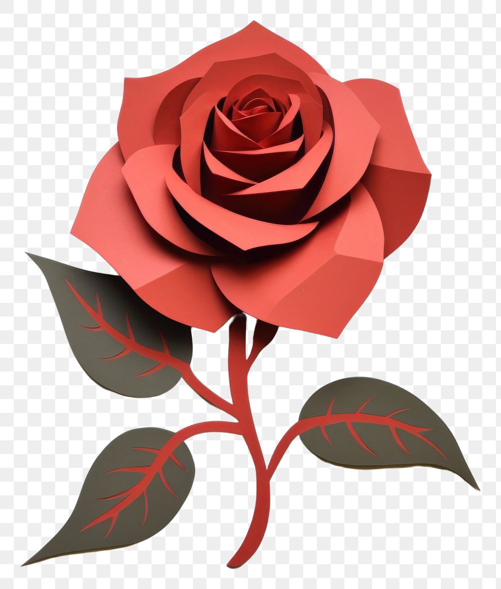 PNG Rose flower plant paper.