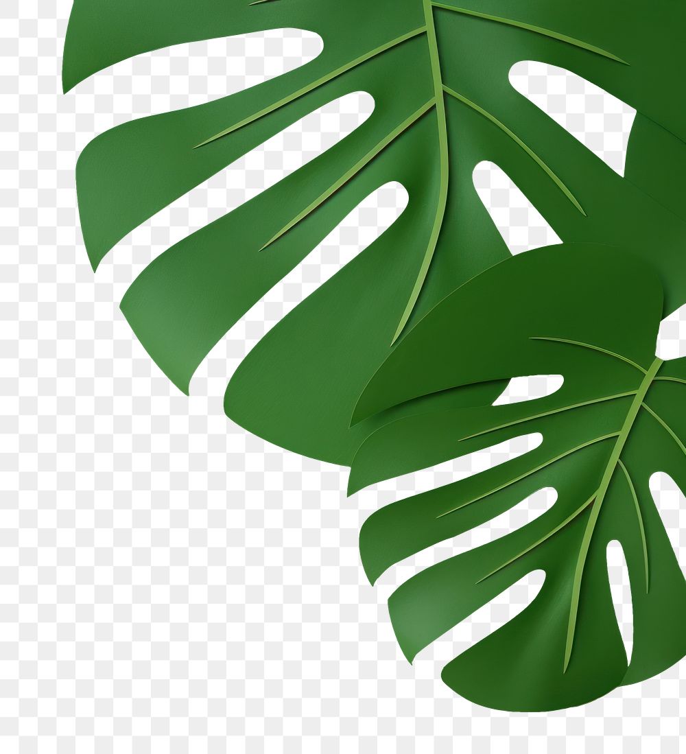 PNG  Monstera leaves green backgrounds pattern. AI generated Image by rawpixel.