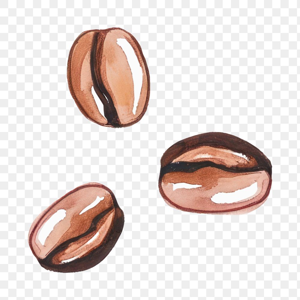 PNG  Coffee beans nut white background freshness. AI generated Image by rawpixel.
