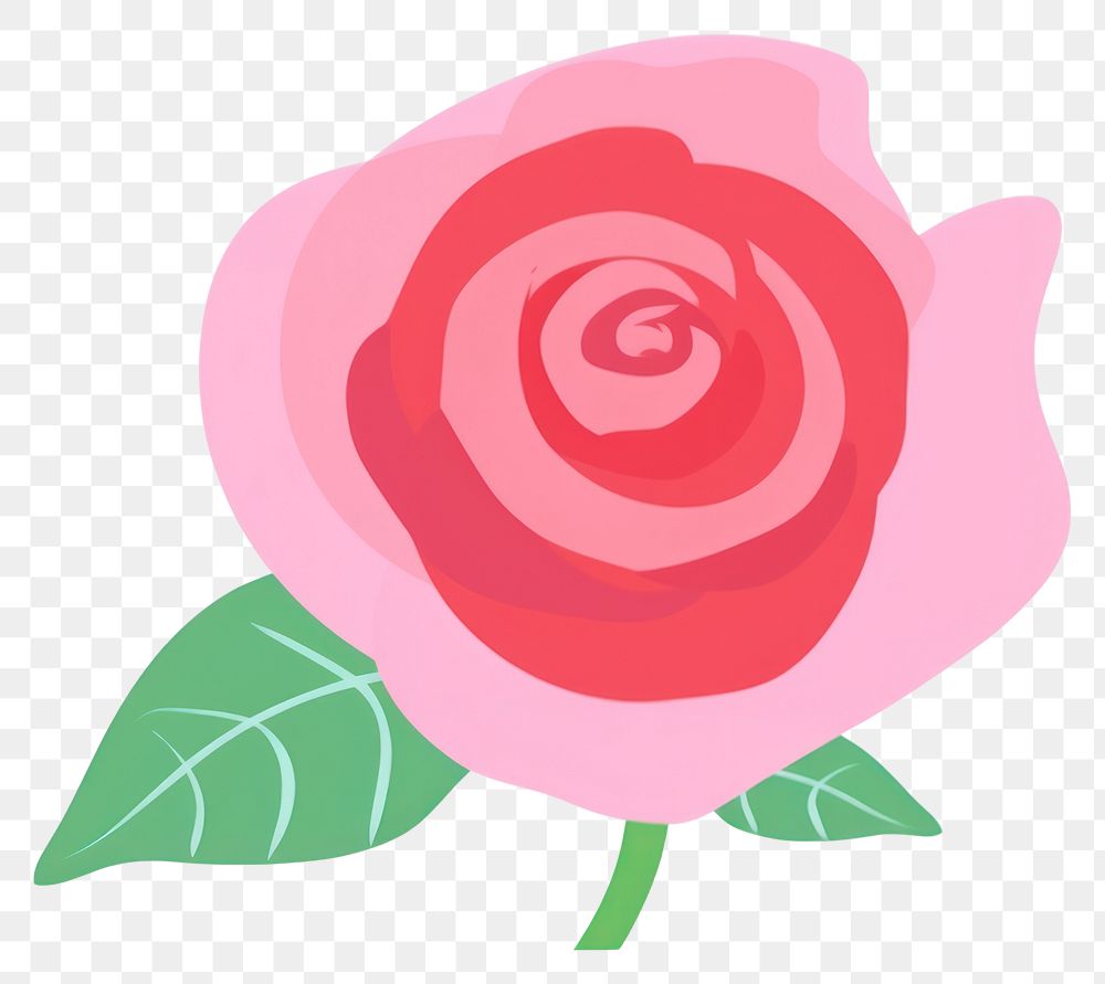 PNG  Rose flower plant white background.