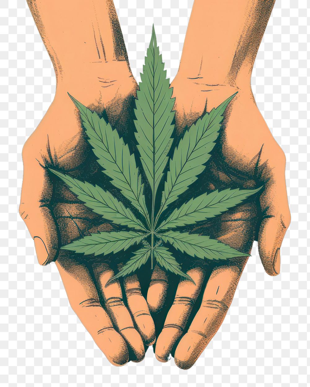 PNG  Cannabis leaf hand holding finger.