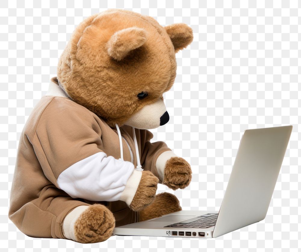 PNG Teddy Bear computer laptop bear.