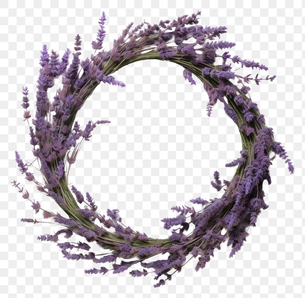 PNG Real Pressed lavender flower purple wreath.