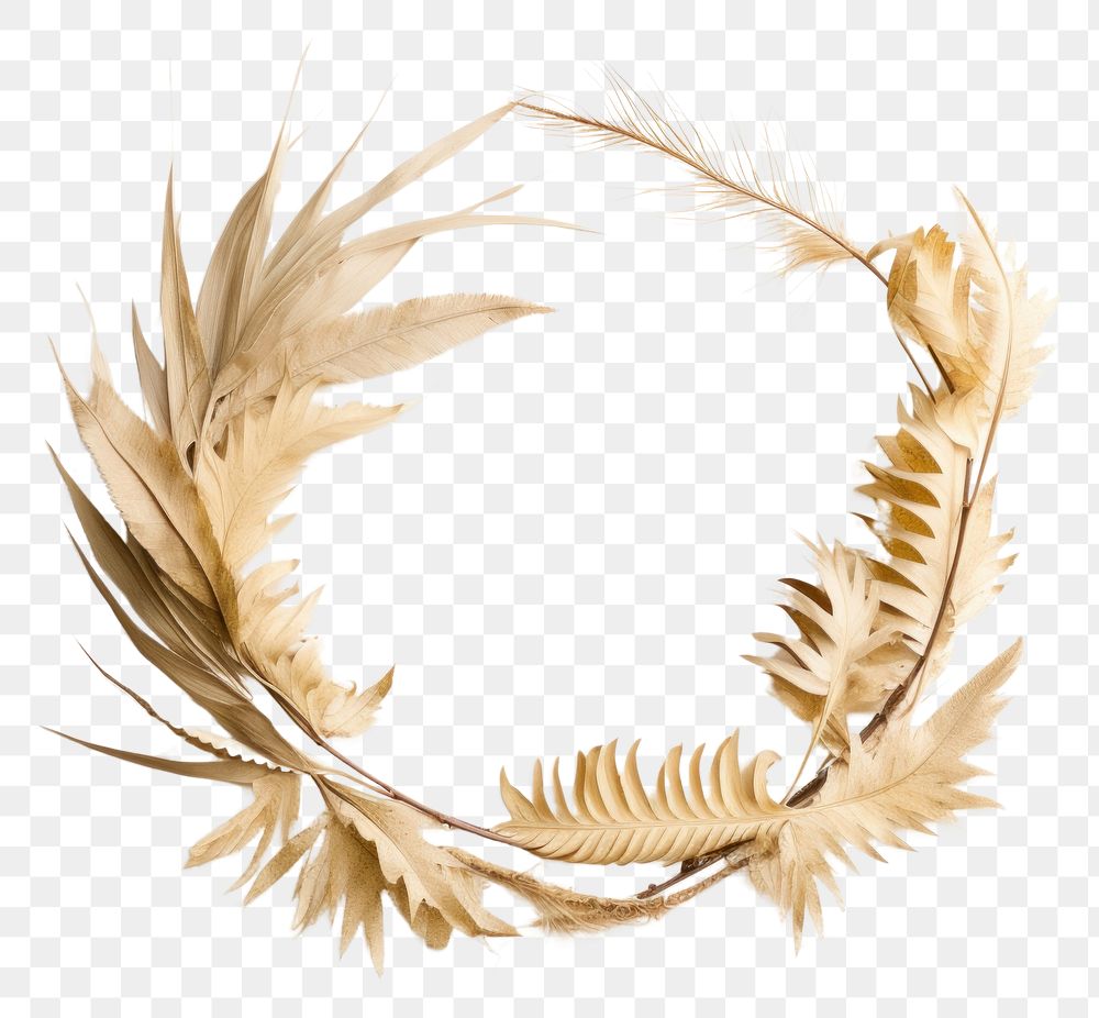 PNG Real Pressed palm leaves wreath plant celebration.