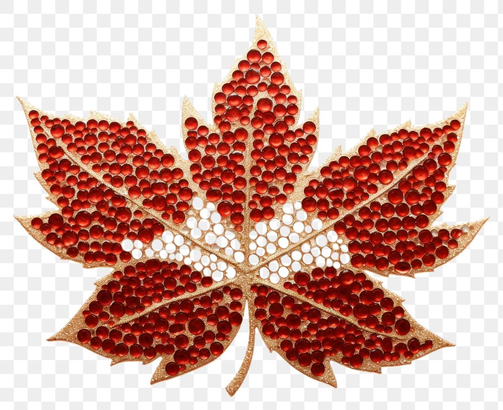 PNG Maple leaves jewelry brooch plant.