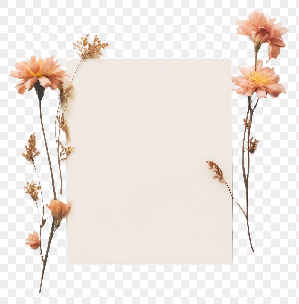 PNG  Flower plant frame white background. AI generated Image by rawpixel.