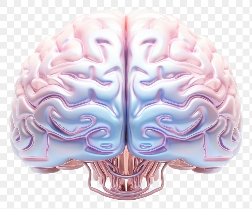 PNG Brain brain art white background.