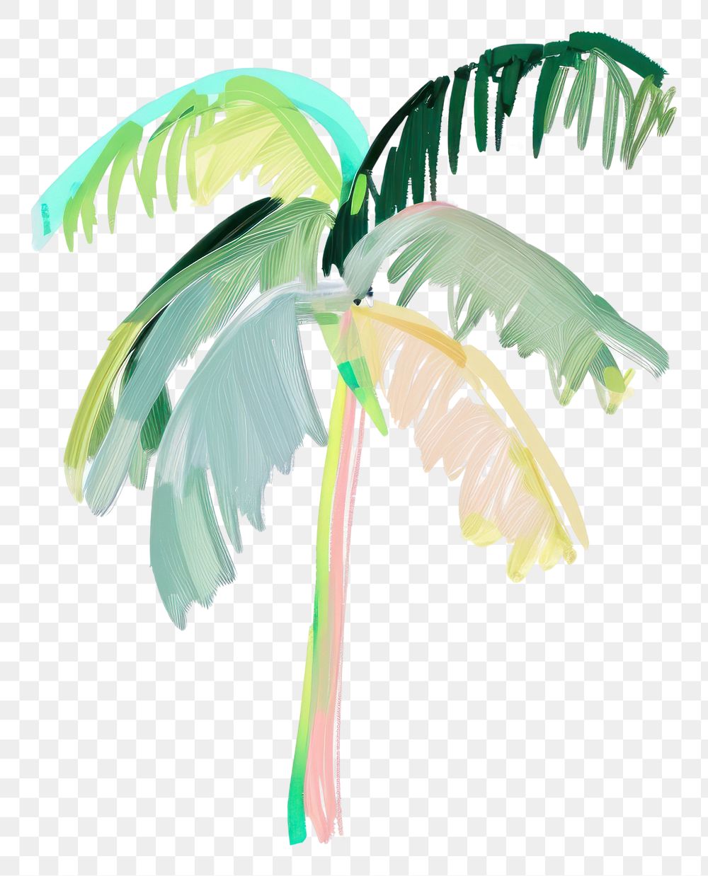 PNG  Palm tree plant leaf white background.