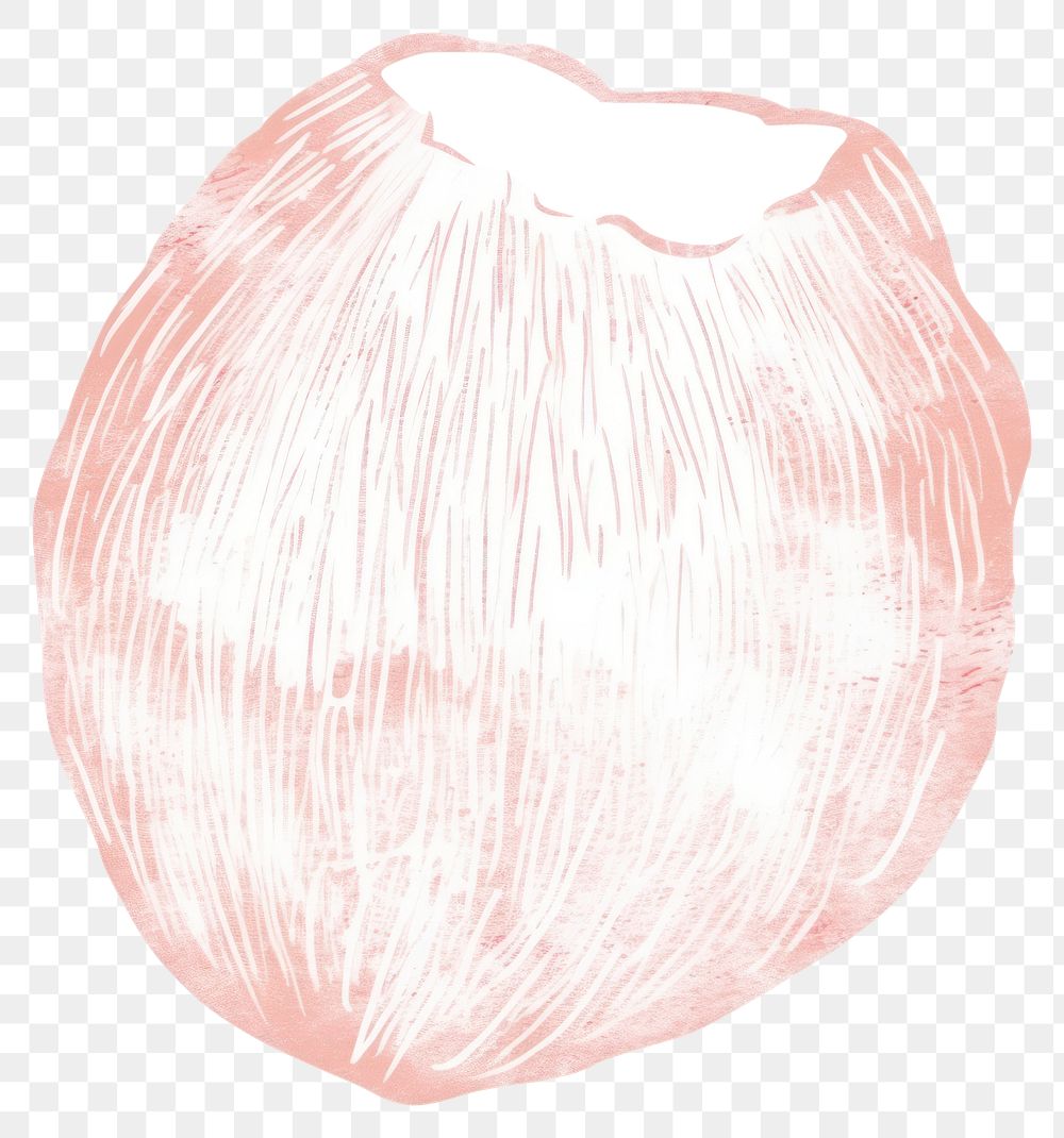 PNG  Crayon texture illustration of coconut white background grapefruit drawing.