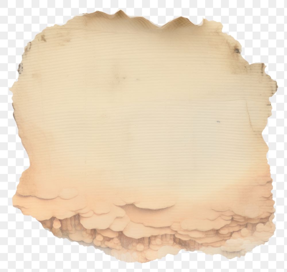 PNG  Mushroom ripped paper backgrounds text white background.