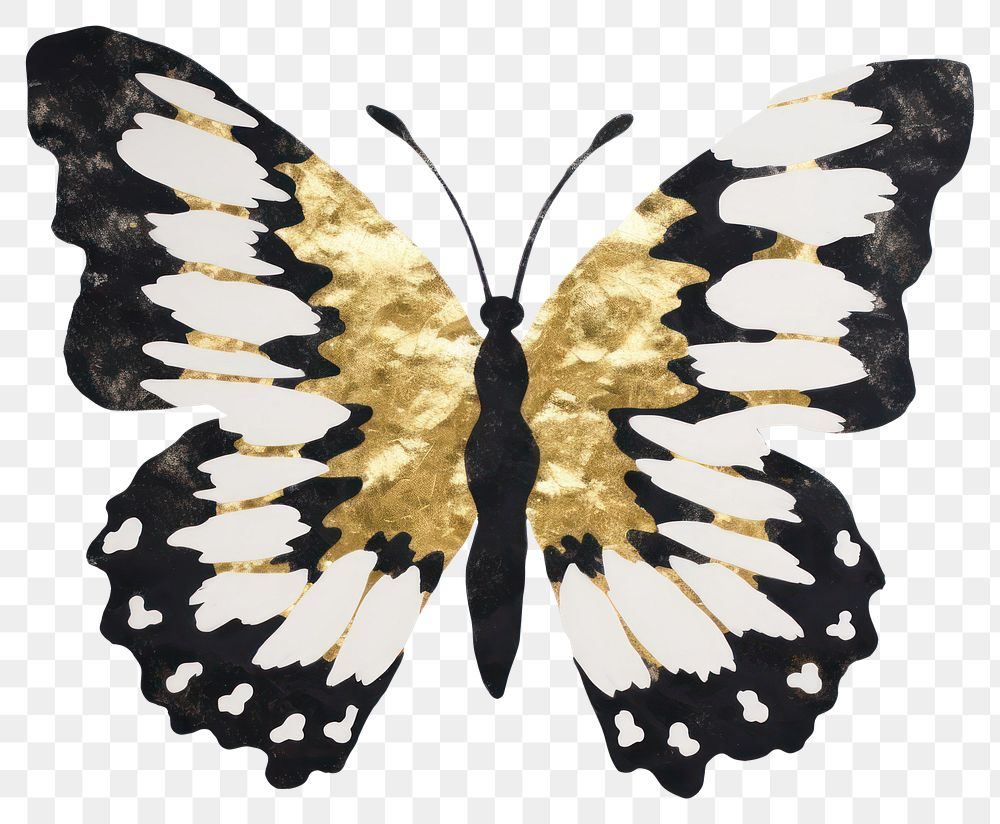 PNG  Butterfly ripped paper animal insect moth.