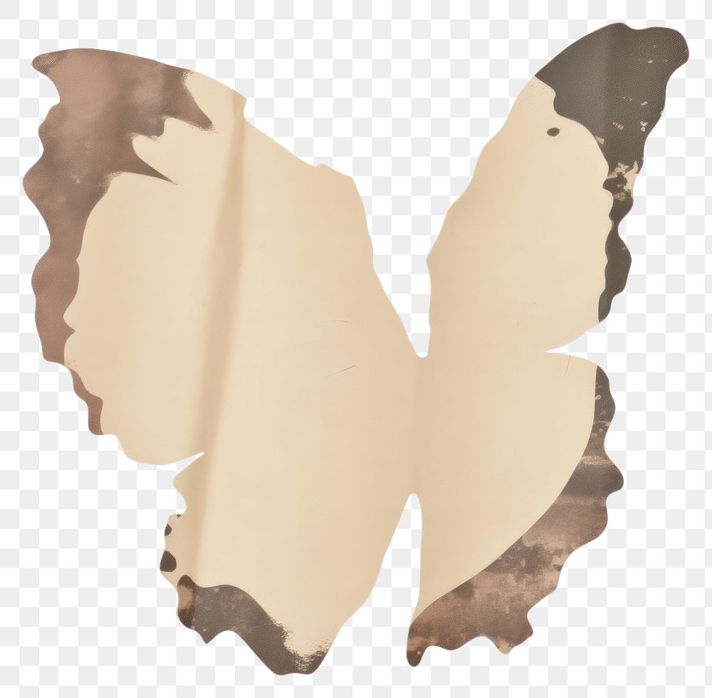 PNG  Butterfly shape ripped paper text white background pattern.