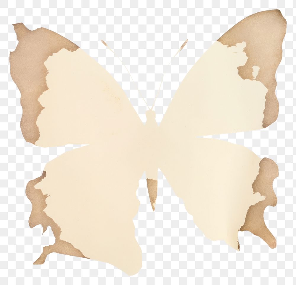 PNG  Butterfly shape ripped paper white leaf white background.