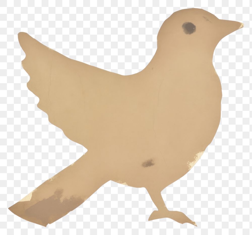 PNG  Bird shape ripped paper animal white background representation.