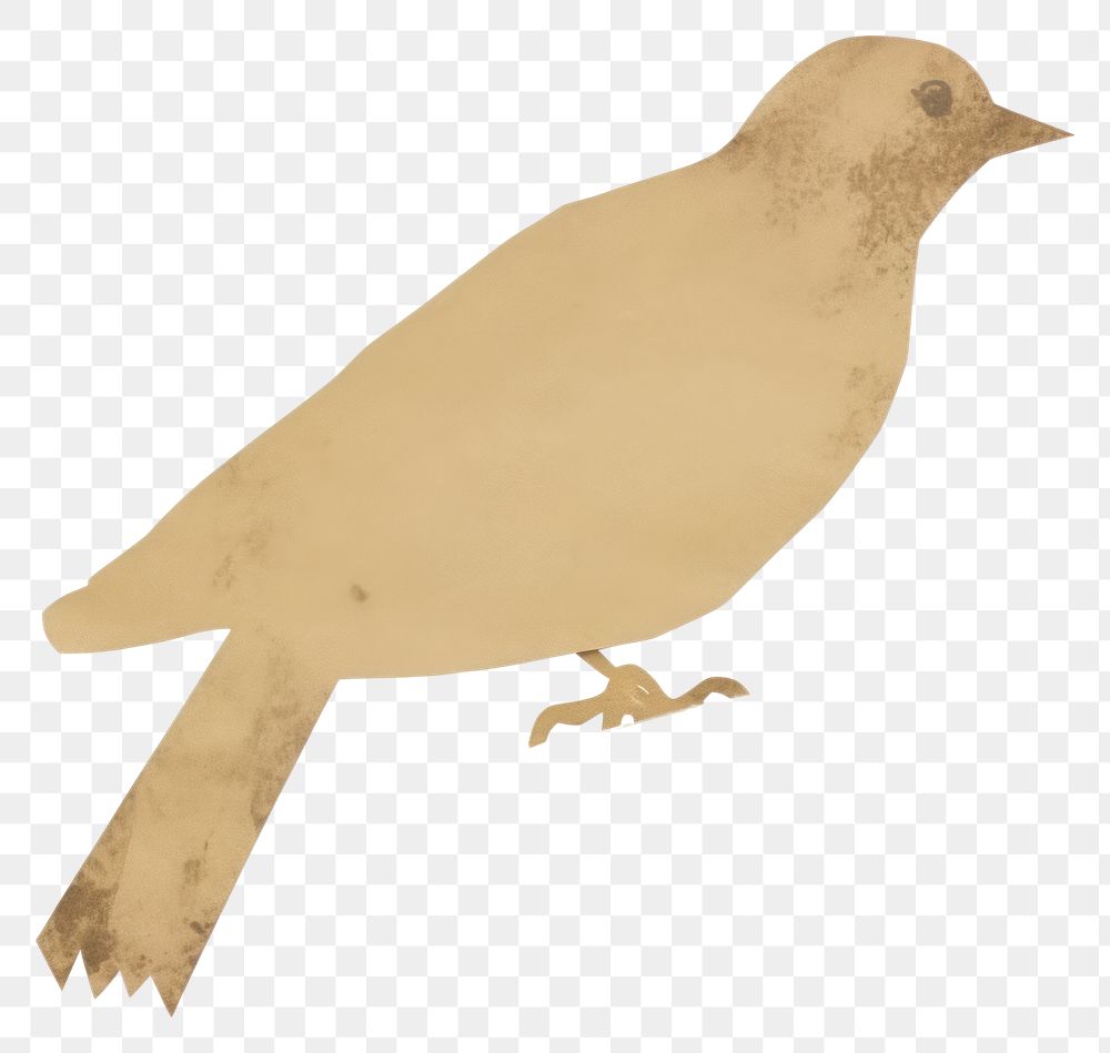 PNG  Bird shape ripped paper animal white background blackbird.