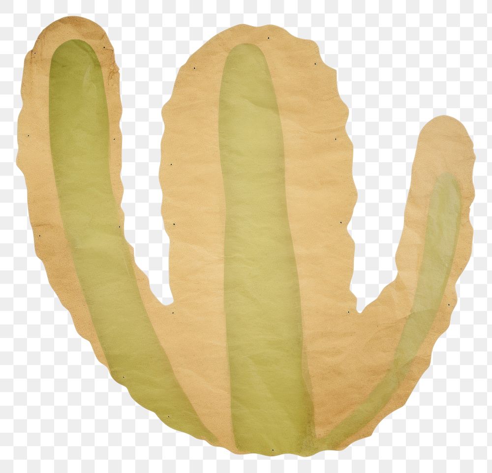 PNG  Cactus shape ripped paper plant white background pattern.