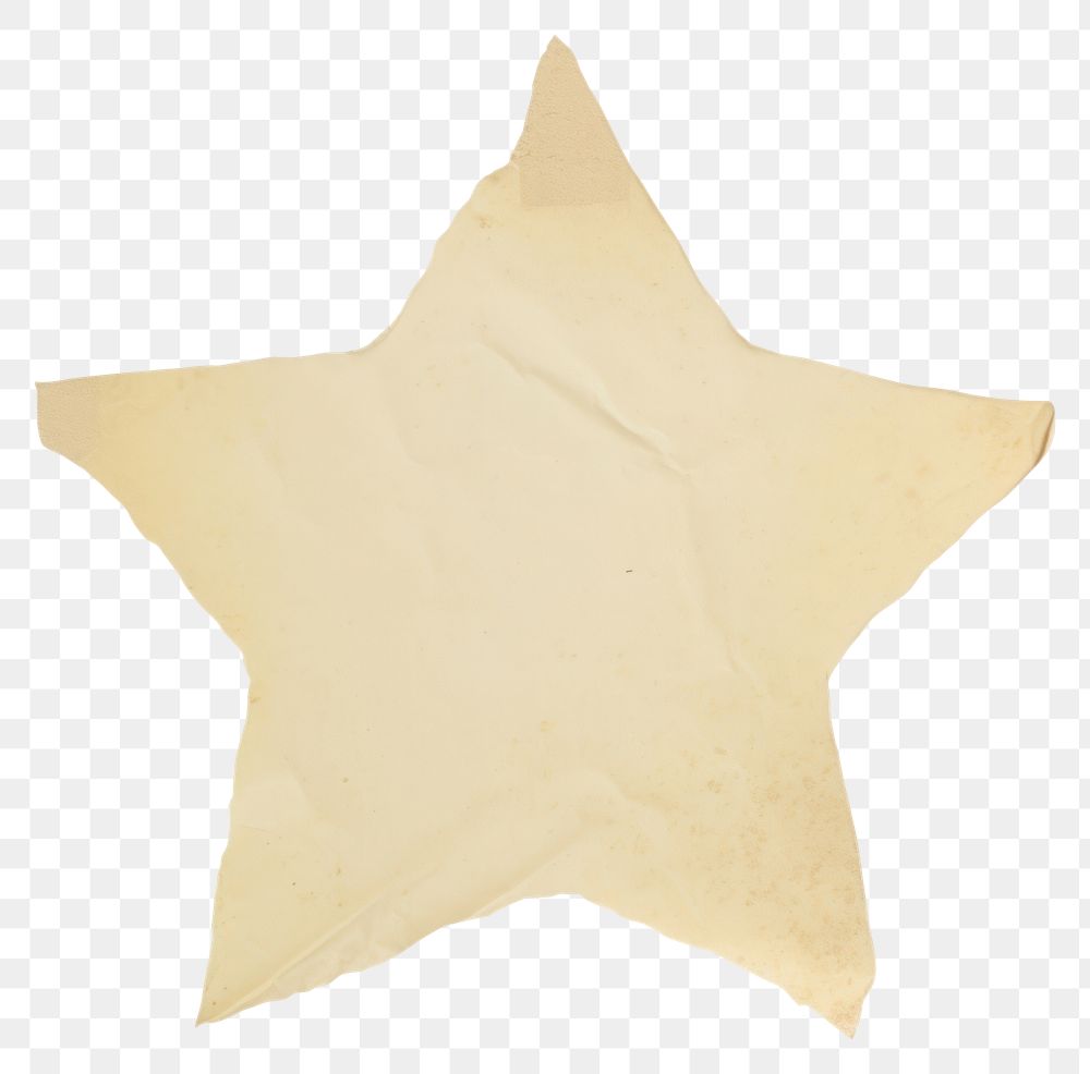 PNG  Star shape ripped paper backgrounds white background starfish.