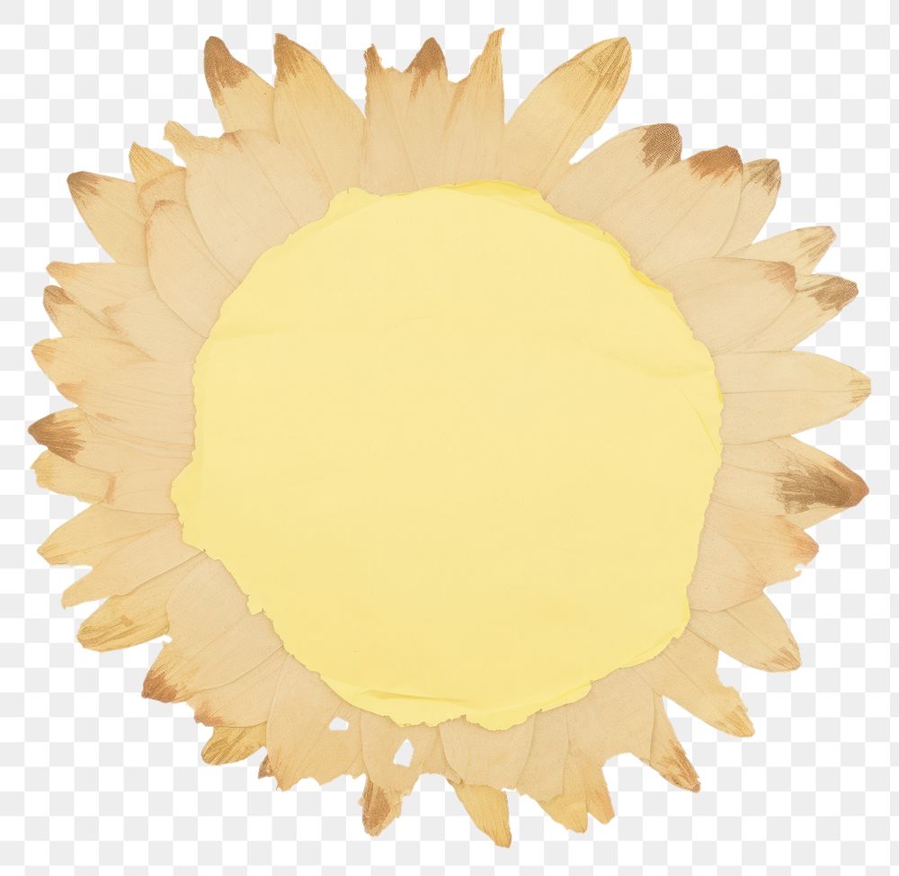PNG  Sunflower shape ripped paper petal plant white background.