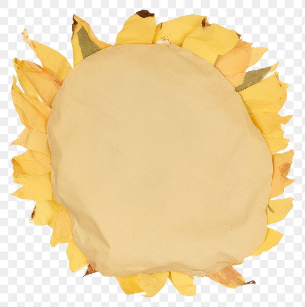 PNG  Sunflower shape ripped paper plant petal white background.