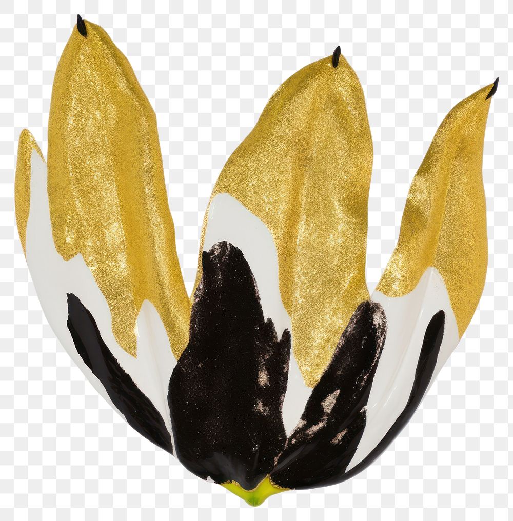 PNG  Tulip shape ripped paper flower plant petal