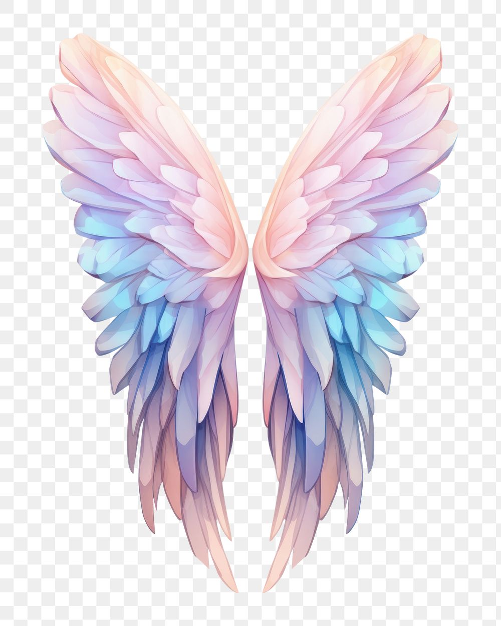 PNG Wings angel art white background