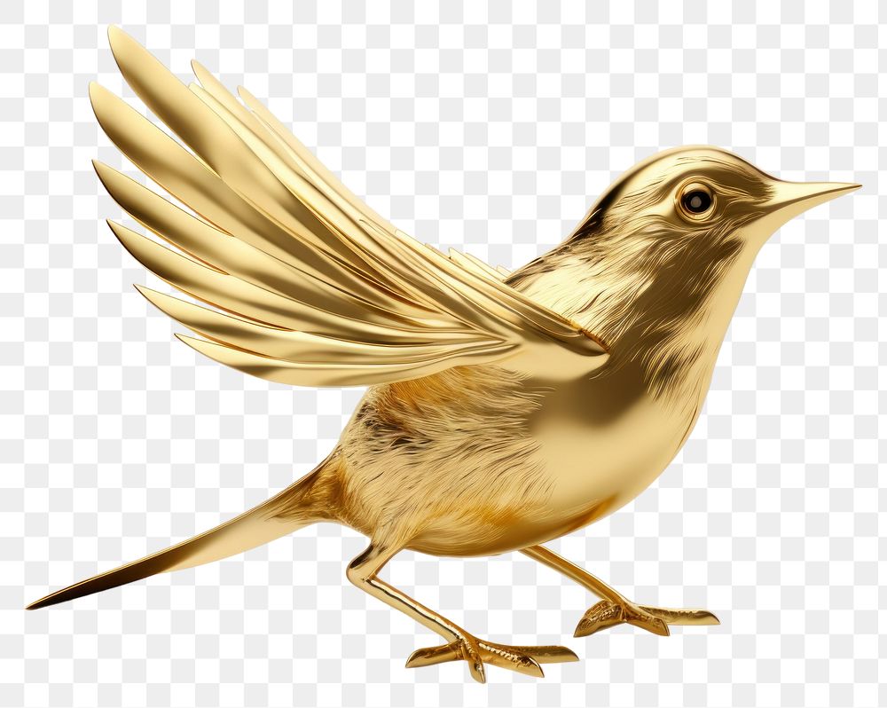 PNG  Bird animal beak gold.