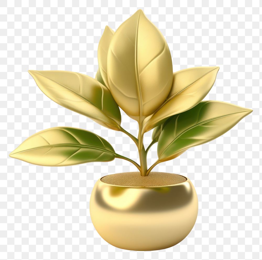 PNG  Plant gold vase leaf.