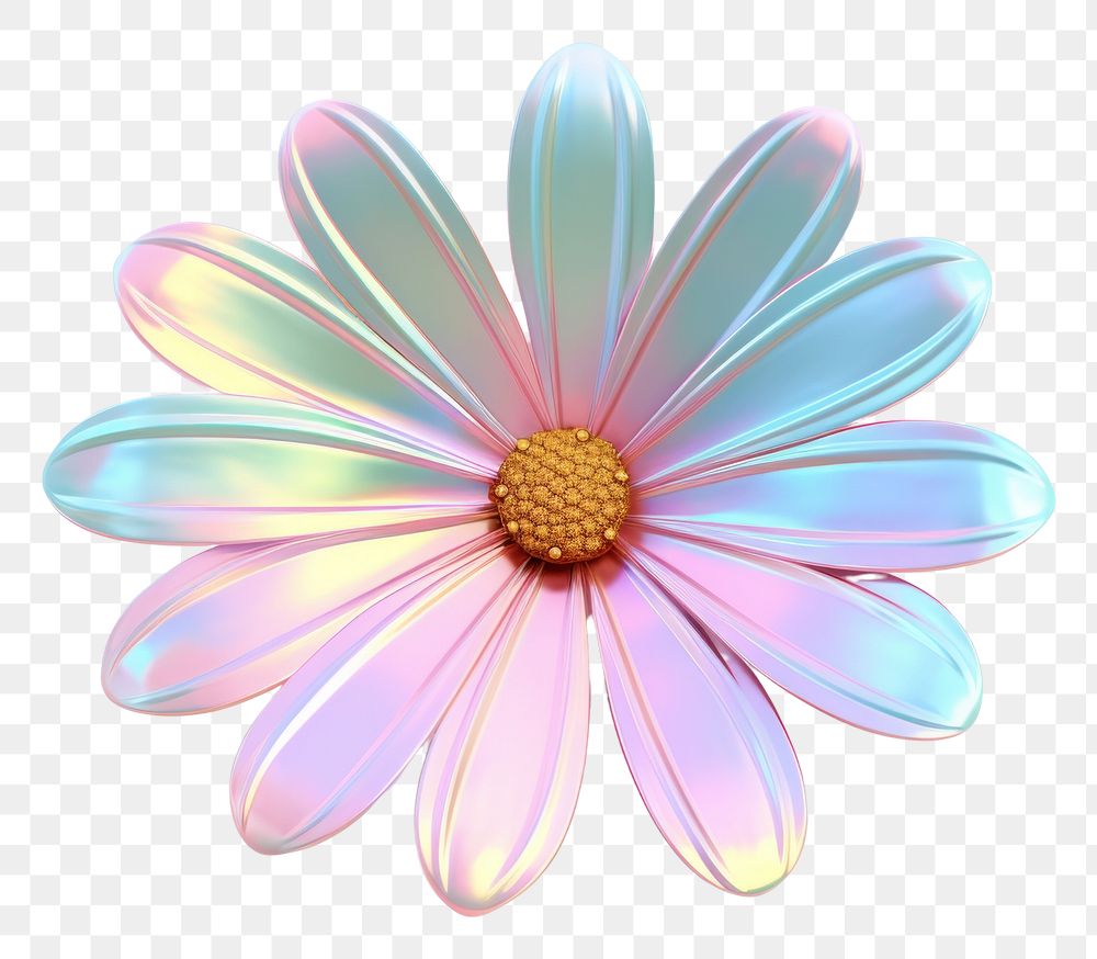 PNG Daisy icon daisy flower petal.