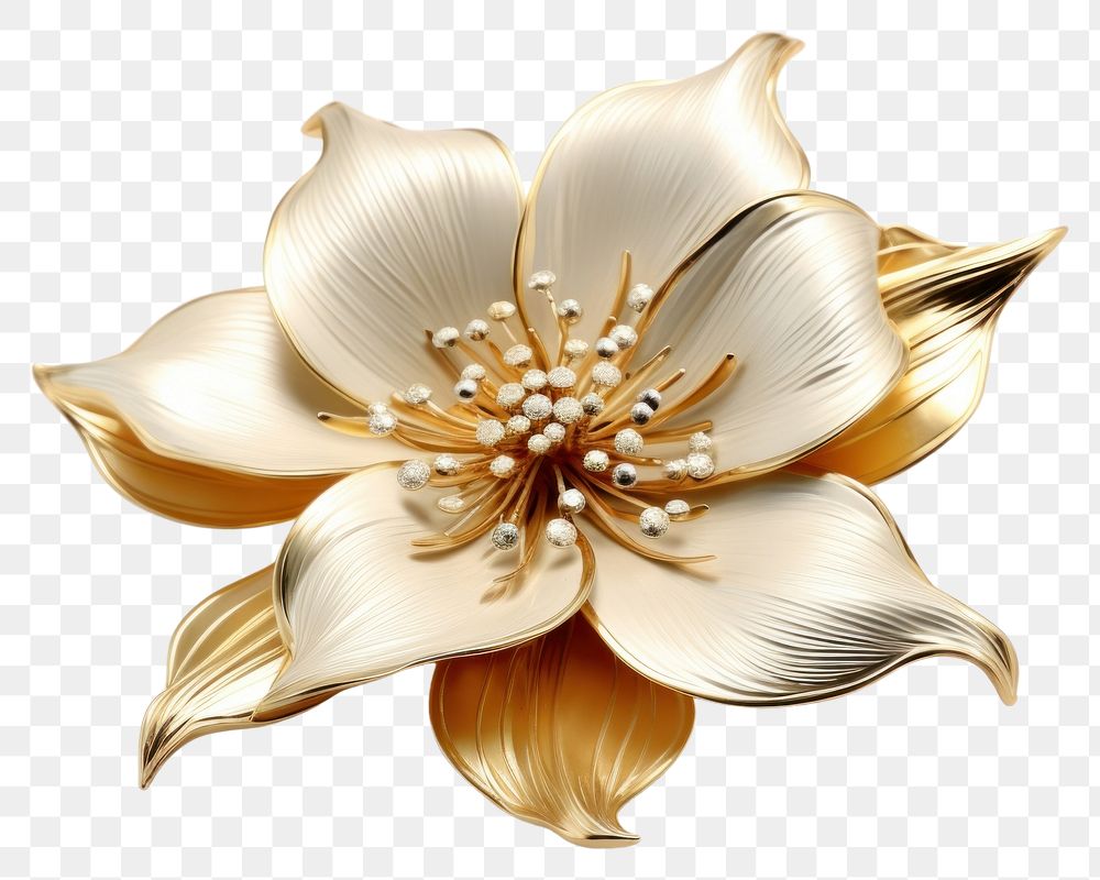 PNG  Flower jewelry brooch plant