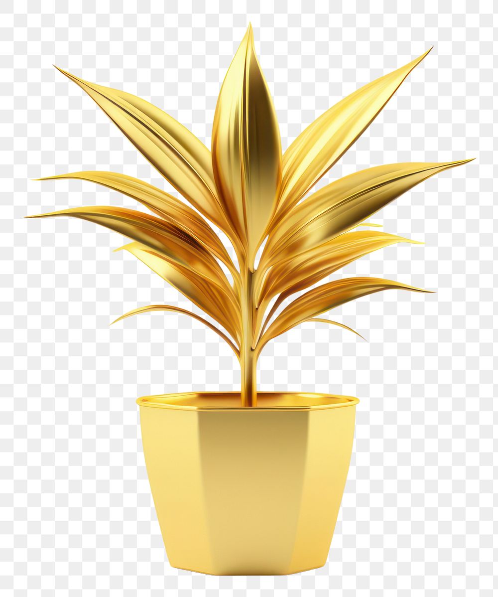 PNG  Plant gold vase white background.