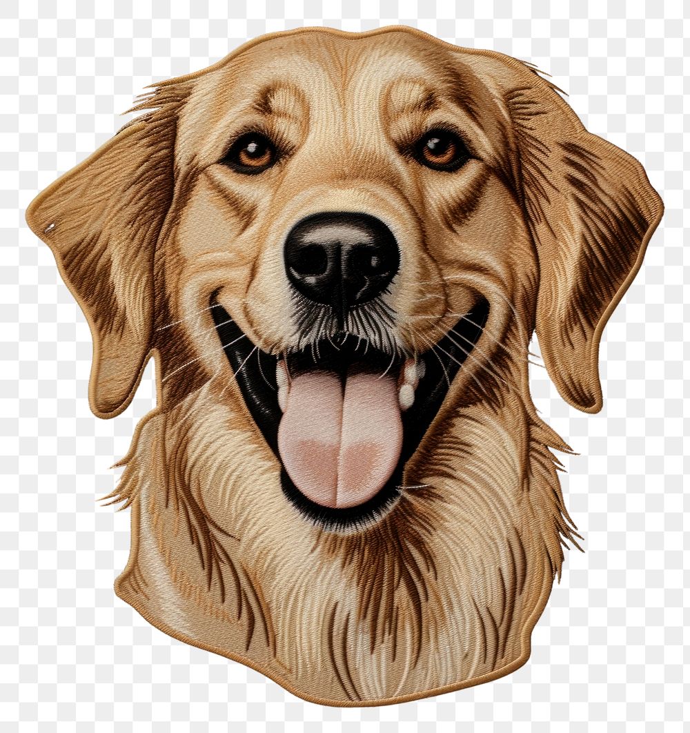PNG Happy golden retriever animal mammal dog. AI generated Image by rawpixel.