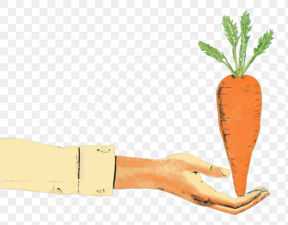 PNG  Risograph hands holding carrot vegetable plant green.