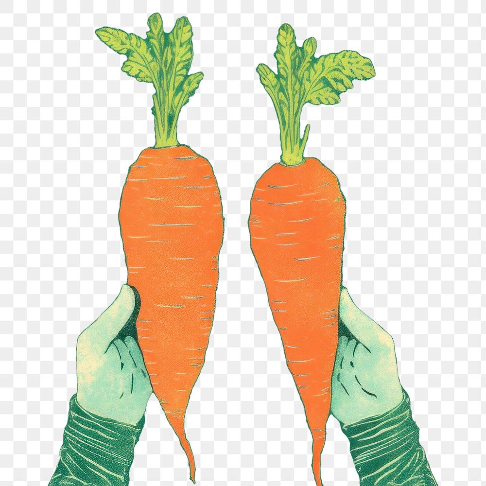 PNG  Carrot vegetable holding plant.