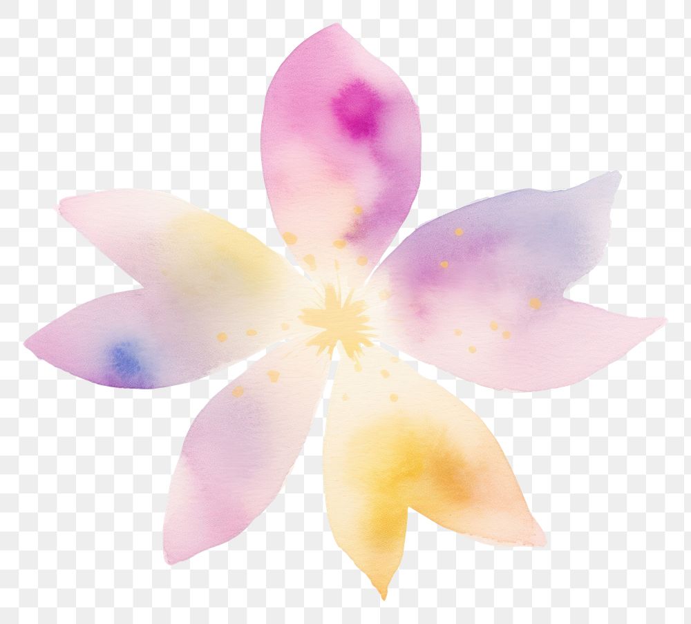 PNG Watercolor brush stroke flower and glitter petal plant inflorescence. AI generated Image by rawpixel.