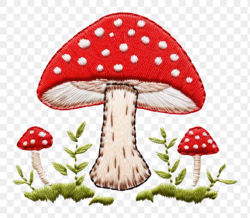 PNG Mushroom in embroidery style agaric fungus plant.