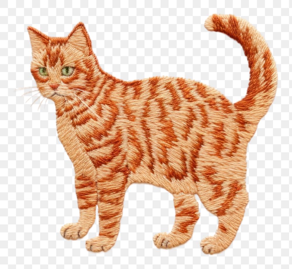 PNG A ginger cat in embroidery style animal mammal pet.