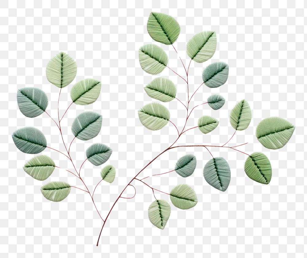 PNG Eucalyptus leaf in embroidery style pattern plant medicine.
