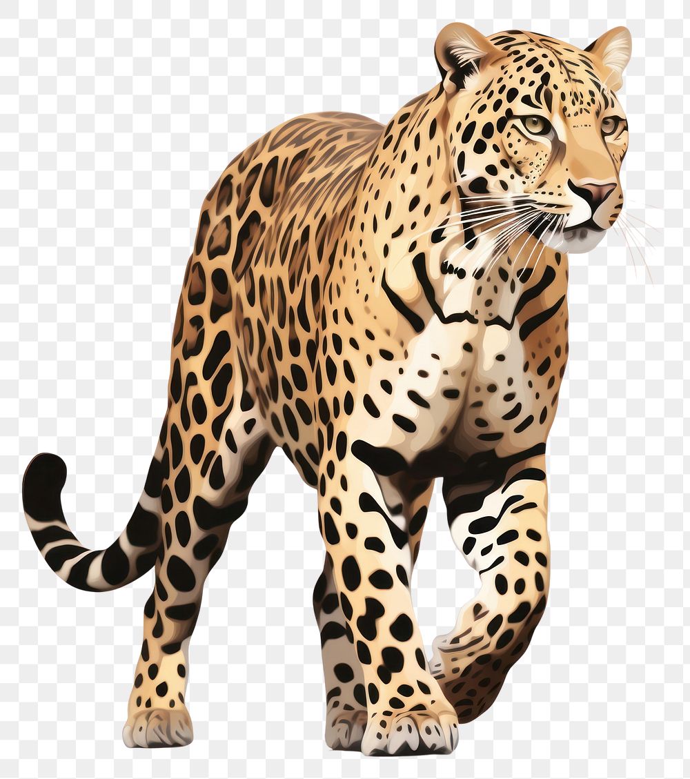 PNG  Panter animal wildlife leopard. AI generated Image by rawpixel.
