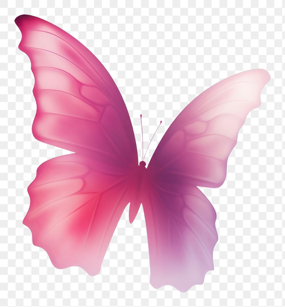 PNG  Abstract blurred gradient illustration butterfly petal pink white background.