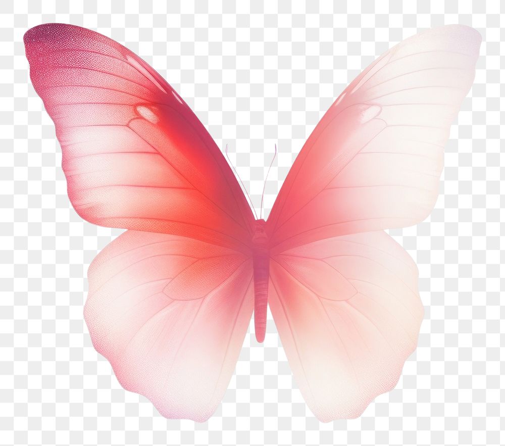 PNG  Abstract blurred gradient illustration butterfly animal petal pink.